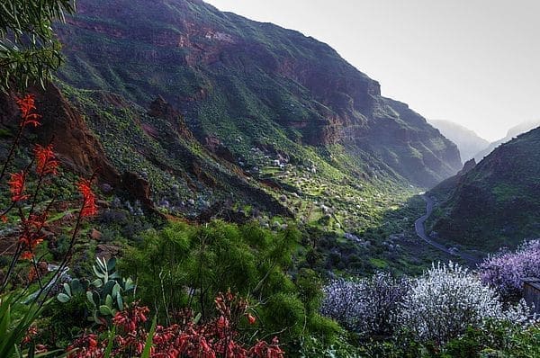 Barranco de Guayadeque: donde la gente sigue viviendo (y cenando) en cuevas | Casa El Drago