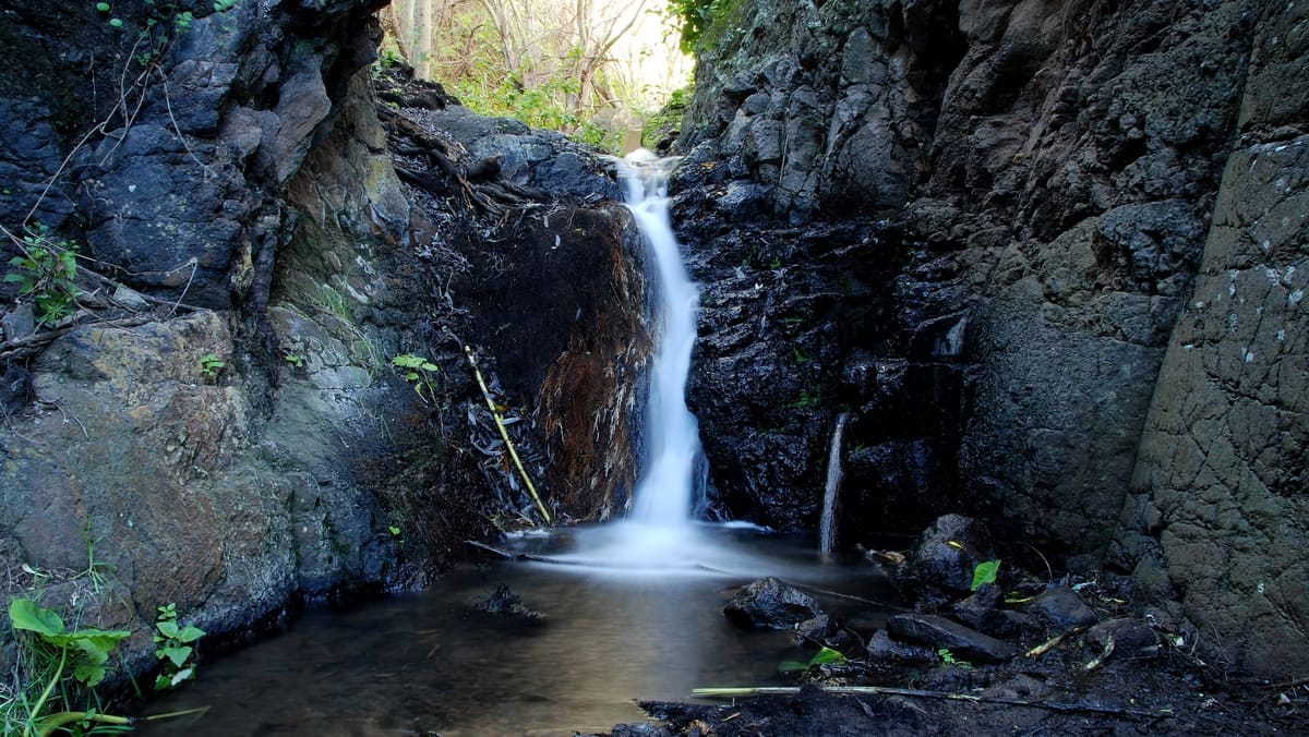 Barranco de los Cernícalos: la ruta que te saca de misa y te mete en una cascada | Casa El Drago